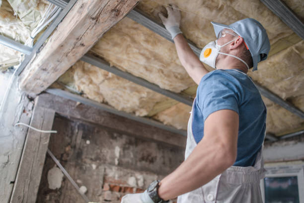 Best Spray Foam Insulation  in Forest City, NC