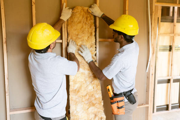 Best Insulation Contractor Near Me  in Forest City, NC