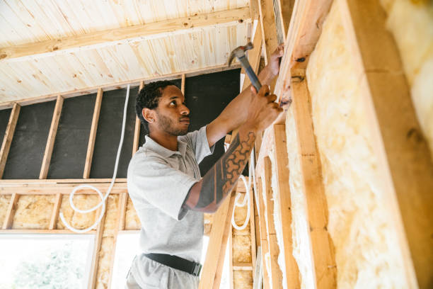 Best Insulation Replacement Services  in Forest City, NC