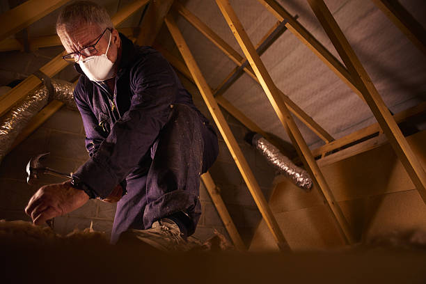 Best Insulation Inspection Services  in Forest City, NC